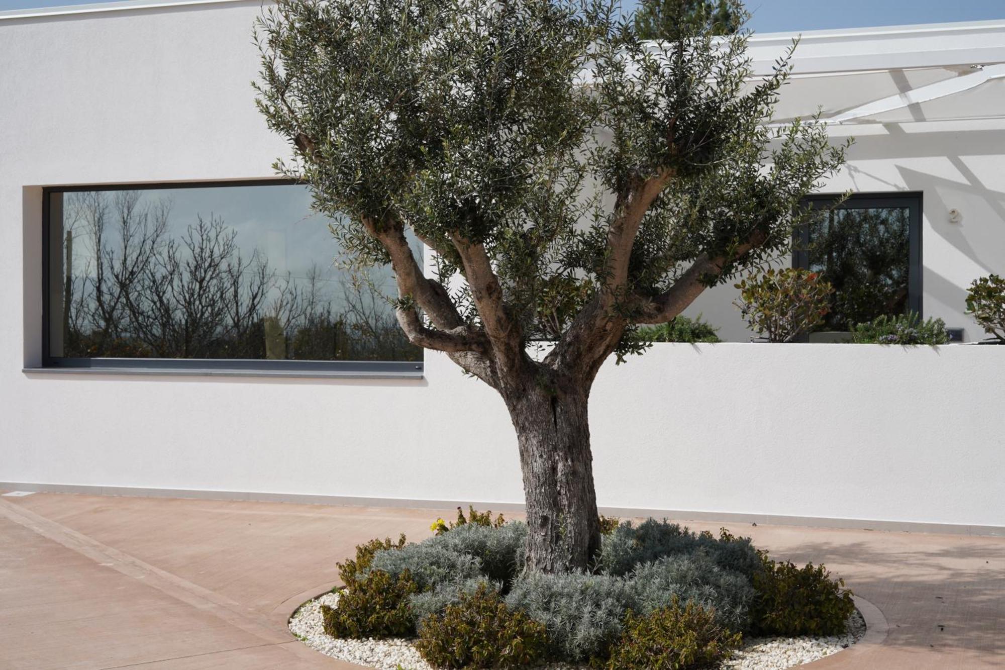 Tenuta San Marco Noto Extérieur photo