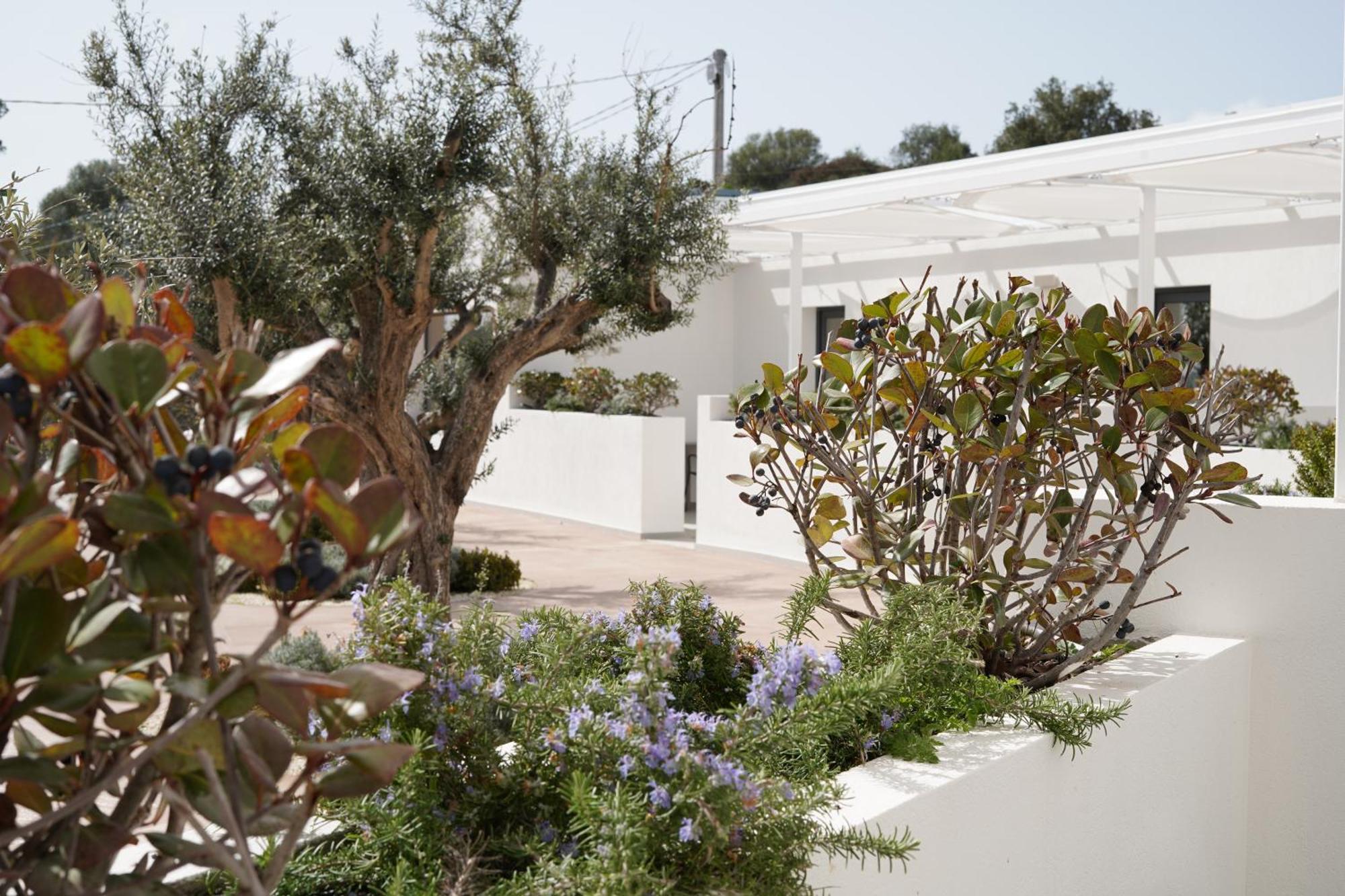 Tenuta San Marco Noto Extérieur photo